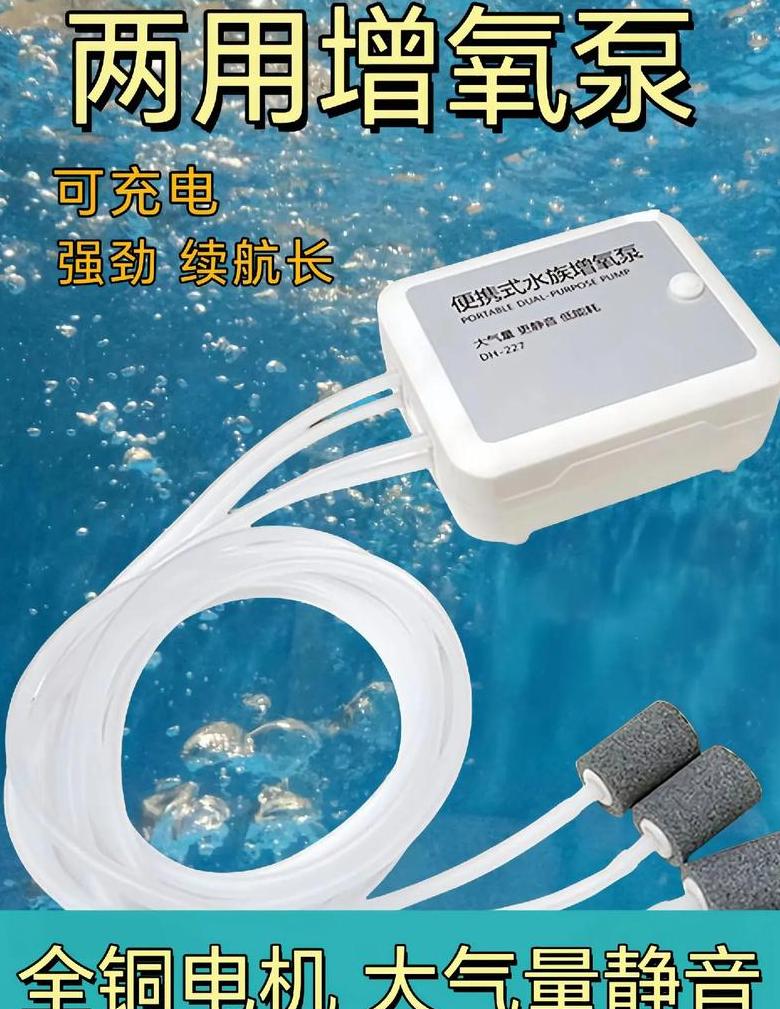 鱼缸增氧泵选购指南：选购技巧与注意事项