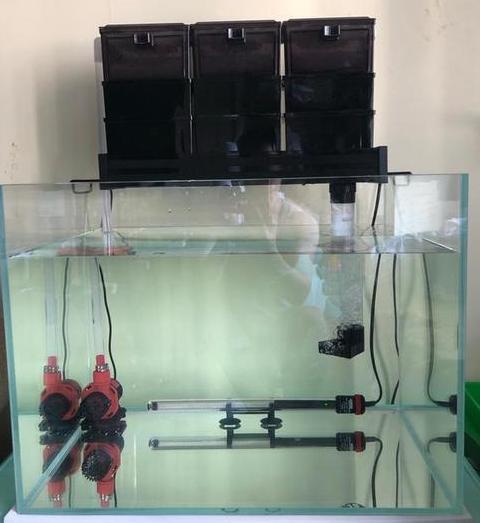 80cm鱼缸水泵选择指南