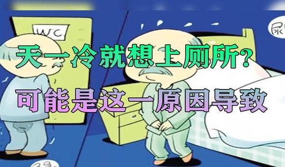 久坐想上厕所，是久坐还是其他原因？