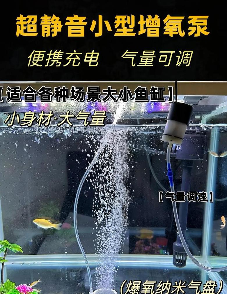 1米5鱼缸水泵功率选择与作用解析