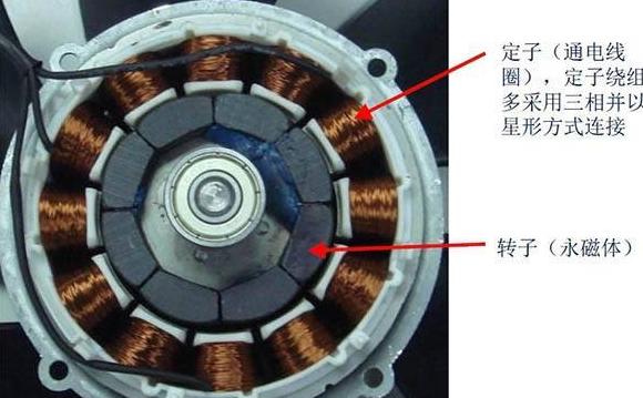 电机磁极对数与转速关系解析