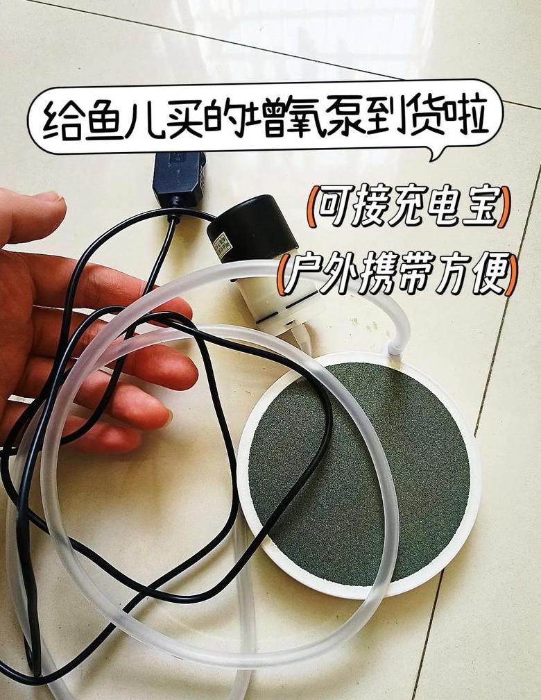 鱼缸水泵噪音处理攻略