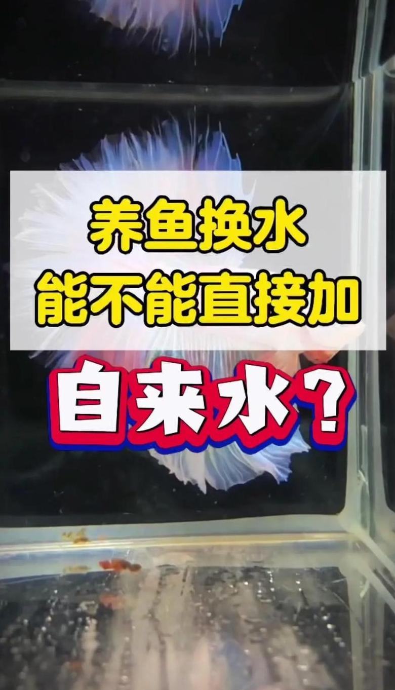 鱼缸水泵水流急解决攻略：轻松调整水流，守护鱼儿健康