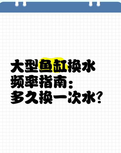 鱼缸水泵流量选择与危害解析