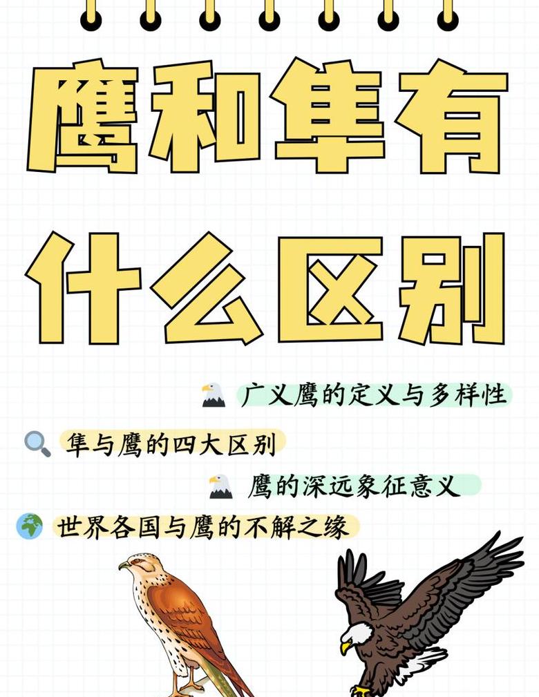 2.5K165Hz屏幕详解：刷新率与分辨率的奥秘