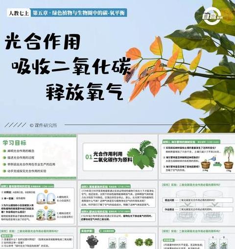柴油燃烧CO2排放因子及减排计算解析