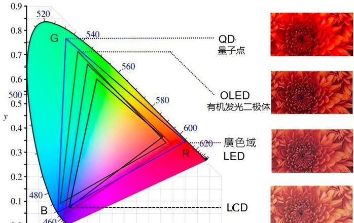 显示器刷新率选择指南：60Hz到75Hz，怎么选？