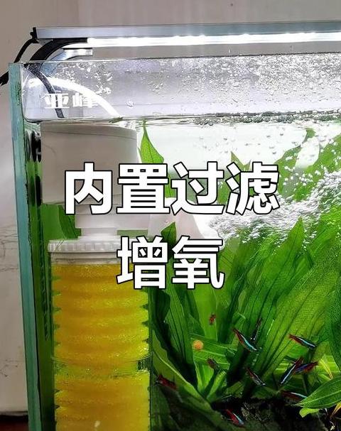 鱼缸过滤器不上水原因及解决方法