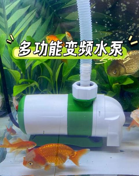 鱼缸潜水泵选择指南：大小与鱼类需求匹配